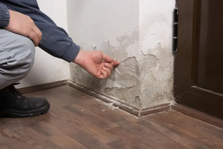 Environmental Insurance Mold Escaping Through the Side of the Wall in Building 768x512 1 Environmental Insurance Custom solutions to manage pollution and other risks.